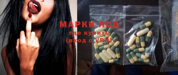 гидра Володарск