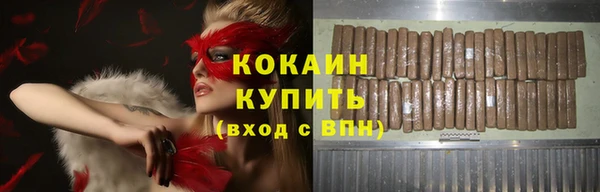 гидра Володарск