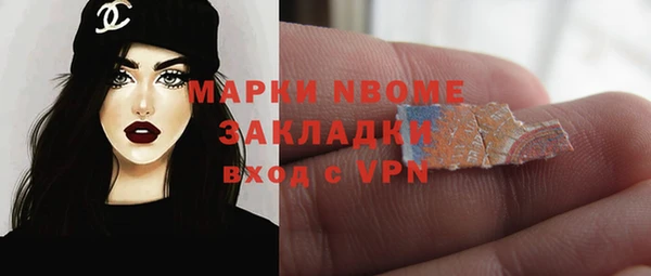 гидра Володарск