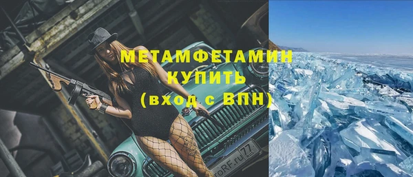 гидра Володарск