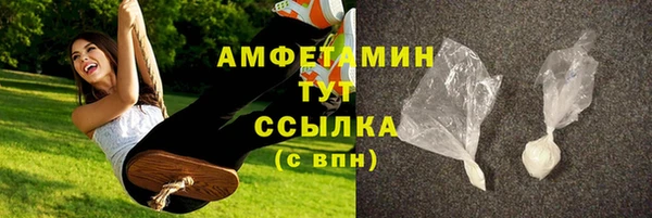 гидра Володарск