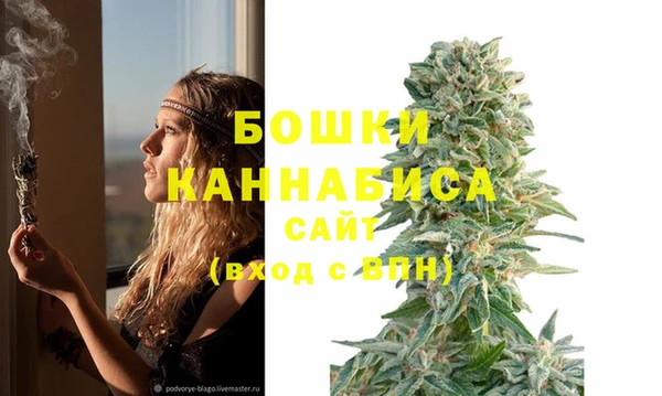 гидра Володарск