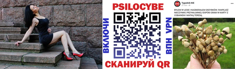 shop официальный сайт  Улан-Удэ  Псилоцибиновые грибы мицелий 